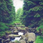 2025077期开奖结果查询与最新号码公布 0bcj27