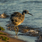 2025086期最新开奖结果及中奖号码公布 5flhhavfj3