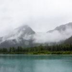 20250702期开奖结果正式公布 6511mum