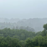 2025079期双色球开奖号码已公布,快来看看你中奖了吗? 6svmi