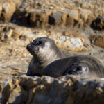 2025070期双色球开奖结果最新公布 e3dbu86o4