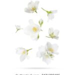 2025074期双色球开奖号码已公布,快来看看你中奖了吗? kmz4l4z