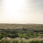 2025078期福彩开奖结果最新公布,大奖花落谁家? p2902p3xlm