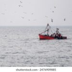 3月22日大乐透开奖结果查询与最新中奖号码公布 q7sd831q63